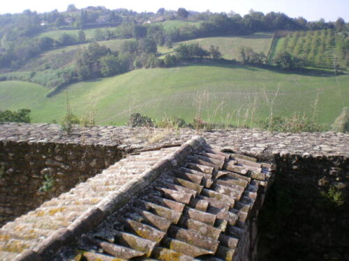 2009-Viagem-a-Emilia-Romagna-147 (1) (1) (1) (1)