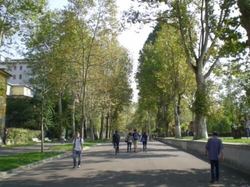 2009-Viagem-a-Emilia-Romagna-160 (1) (1) (1) (1)