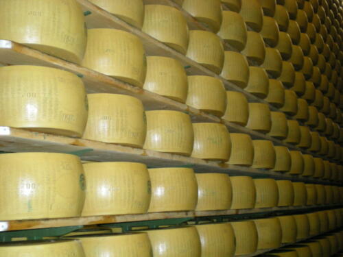 2009-Viagem-a-Emilia-Romagna-176 (1) (1) (1) (1)