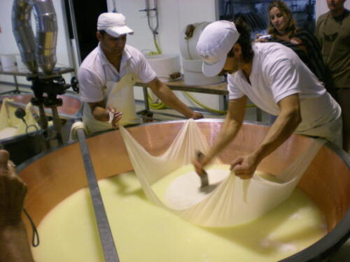 2009-Viagem-a-Emilia-Romagna-181 (1) (1) (1)