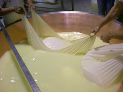 2009-Viagem-a-Emilia-Romagna-182 (1) (1) (1)