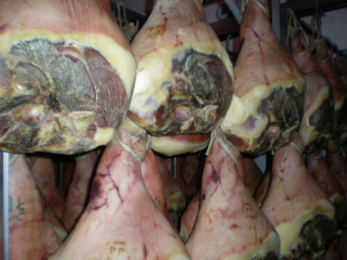 2009-Viagem-a-Emilia-Romagna-190 (1) (1) (1)