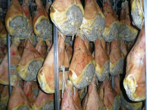 2009-Viagem-a-Emilia-Romagna-191 (1) (1) (1)