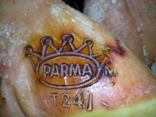 2009-Viagem-a-Emilia-Romagna-192 (1) (1) (1)