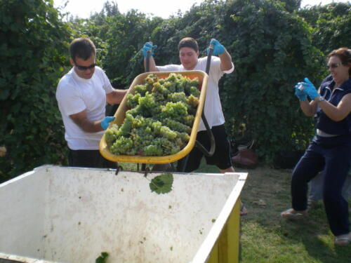 2009-Viagem-a-Emilia-Romagna-47 (1) (1) (1) (1)