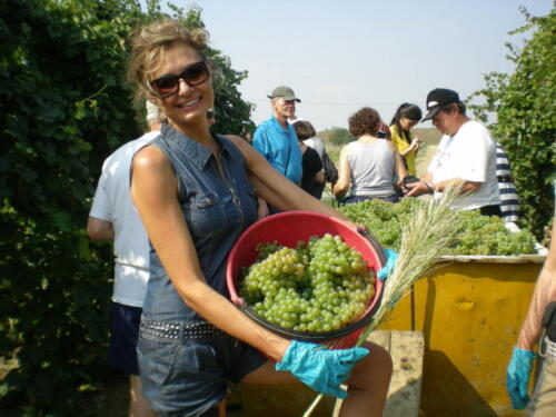 2009-Viagem-a-Emilia-Romagna-50 (1) (1) (1) (1)